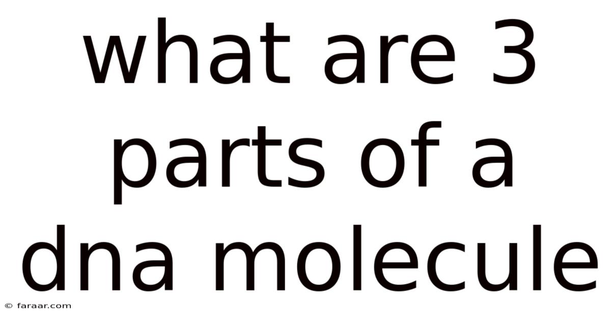 What Are 3 Parts Of A Dna Molecule