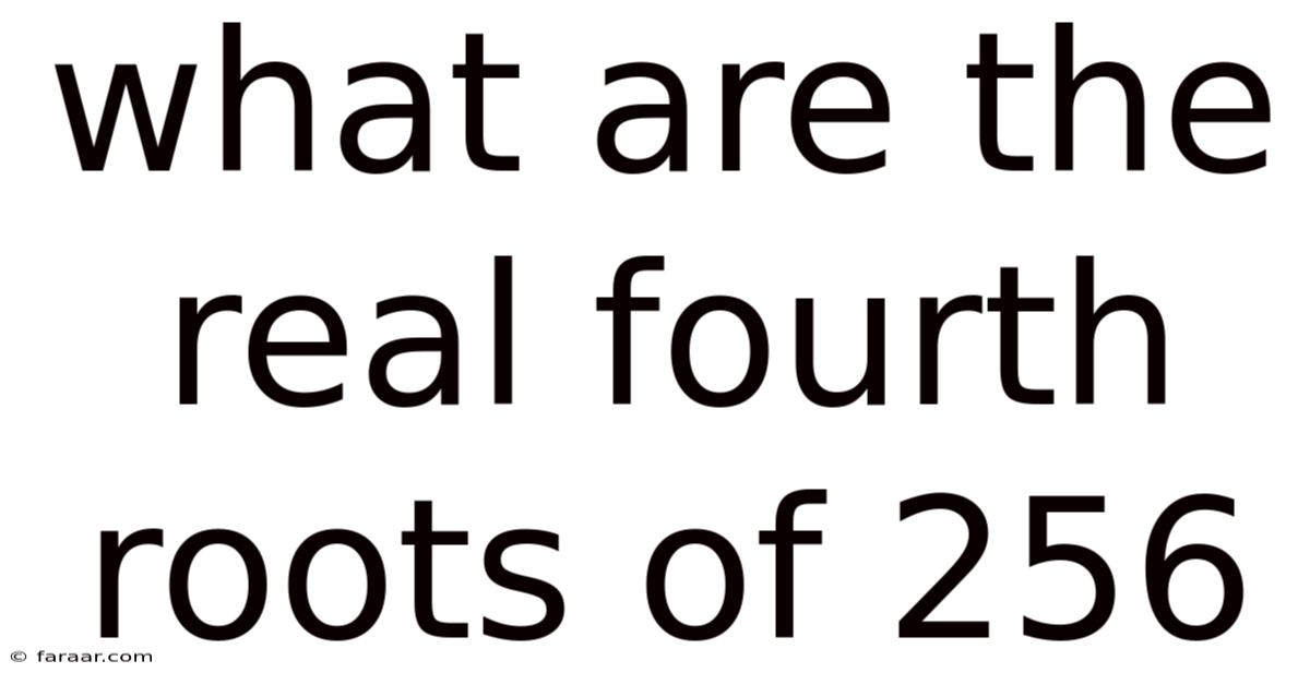 What Are The Real Fourth Roots Of 256