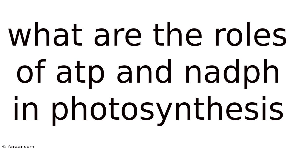 What Are The Roles Of Atp And Nadph In Photosynthesis