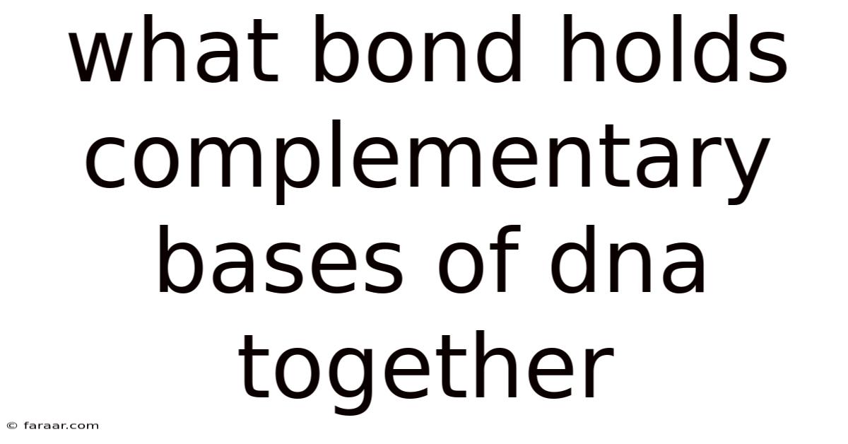 What Bond Holds Complementary Bases Of Dna Together