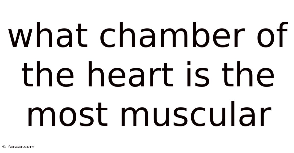 What Chamber Of The Heart Is The Most Muscular