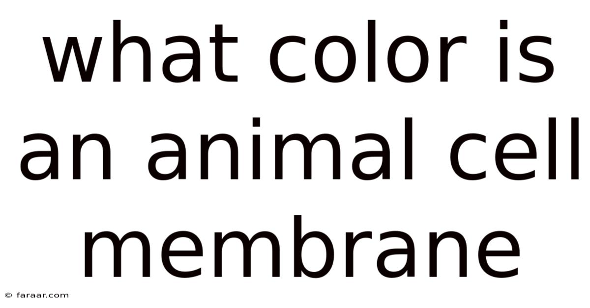 What Color Is An Animal Cell Membrane
