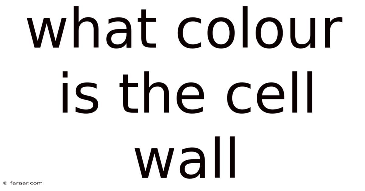 What Colour Is The Cell Wall