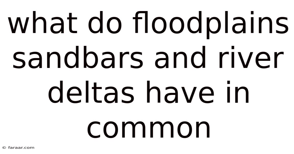 What Do Floodplains Sandbars And River Deltas Have In Common
