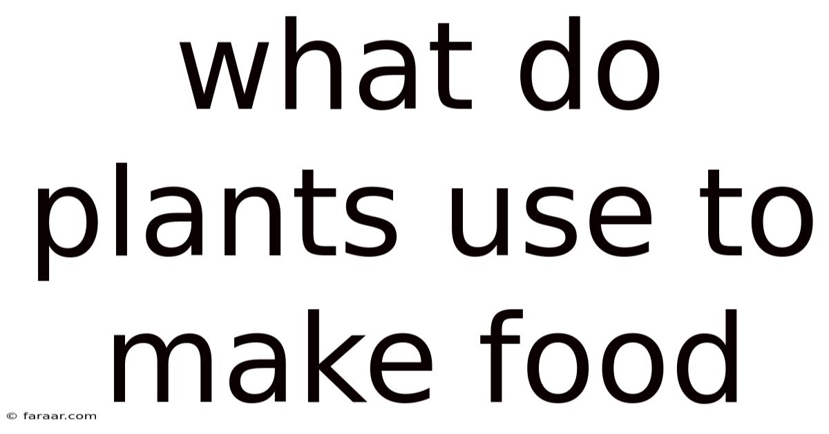 What Do Plants Use To Make Food