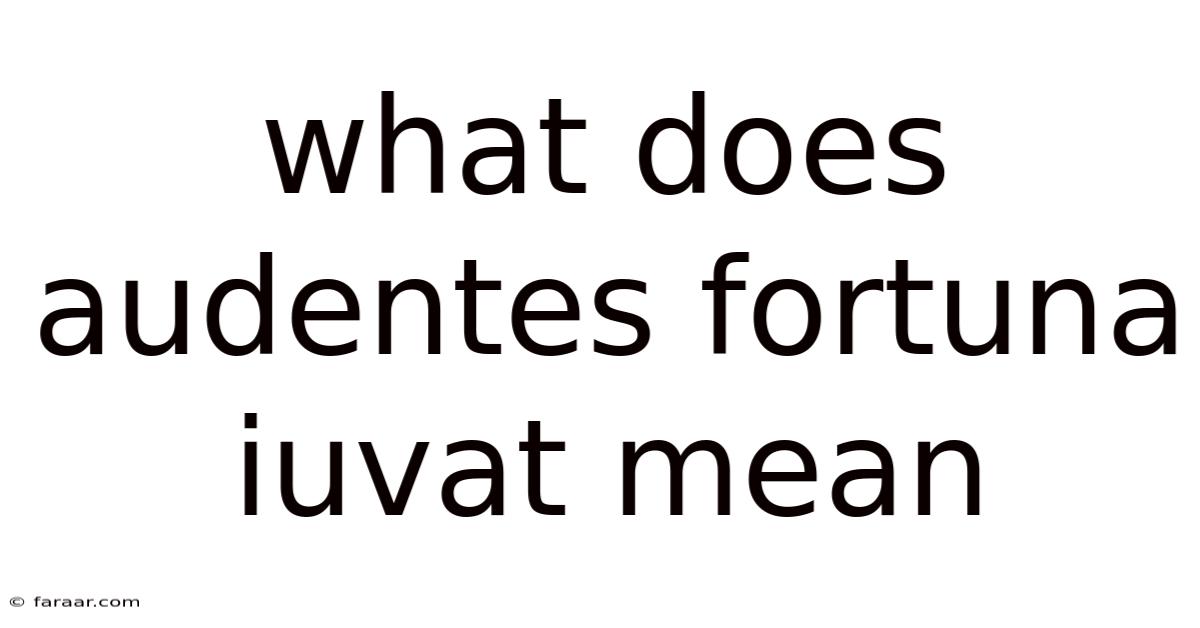 What Does Audentes Fortuna Iuvat Mean
