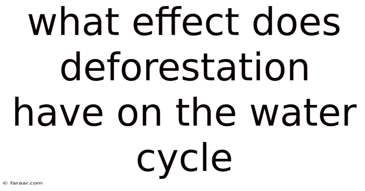 What Effect Does Deforestation Have On The Water Cycle