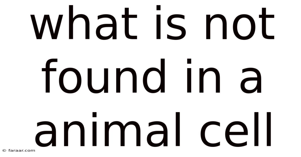 What Is Not Found In A Animal Cell