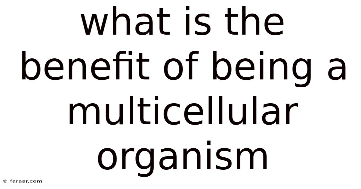 What Is The Benefit Of Being A Multicellular Organism