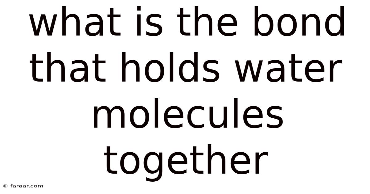 What Is The Bond That Holds Water Molecules Together