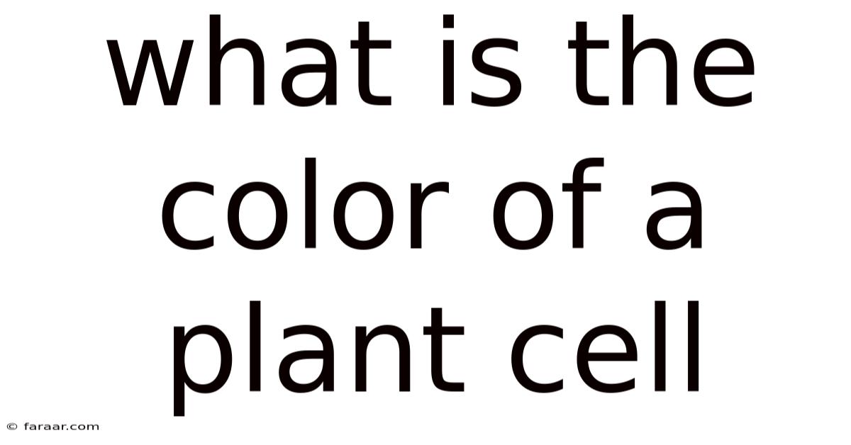 What Is The Color Of A Plant Cell