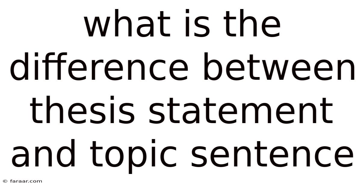 What Is The Difference Between Thesis Statement And Topic Sentence
