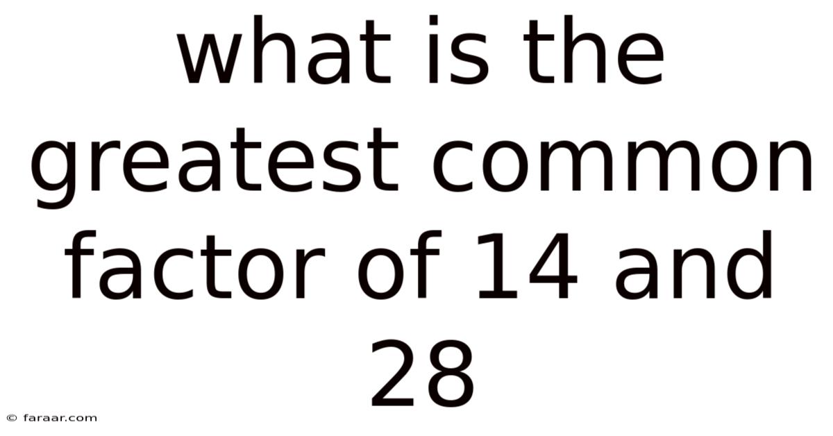 What Is The Greatest Common Factor Of 14 And 28