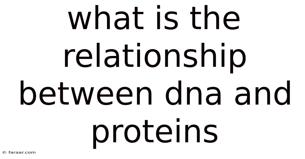 What Is The Relationship Between Dna And Proteins