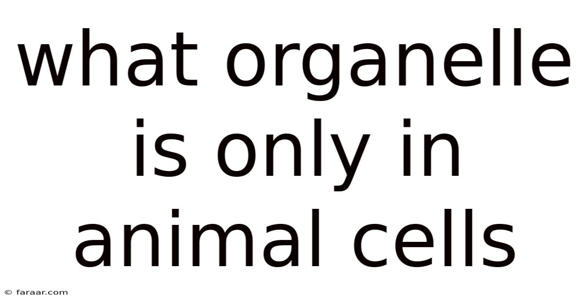 What Organelle Is Only In Animal Cells
