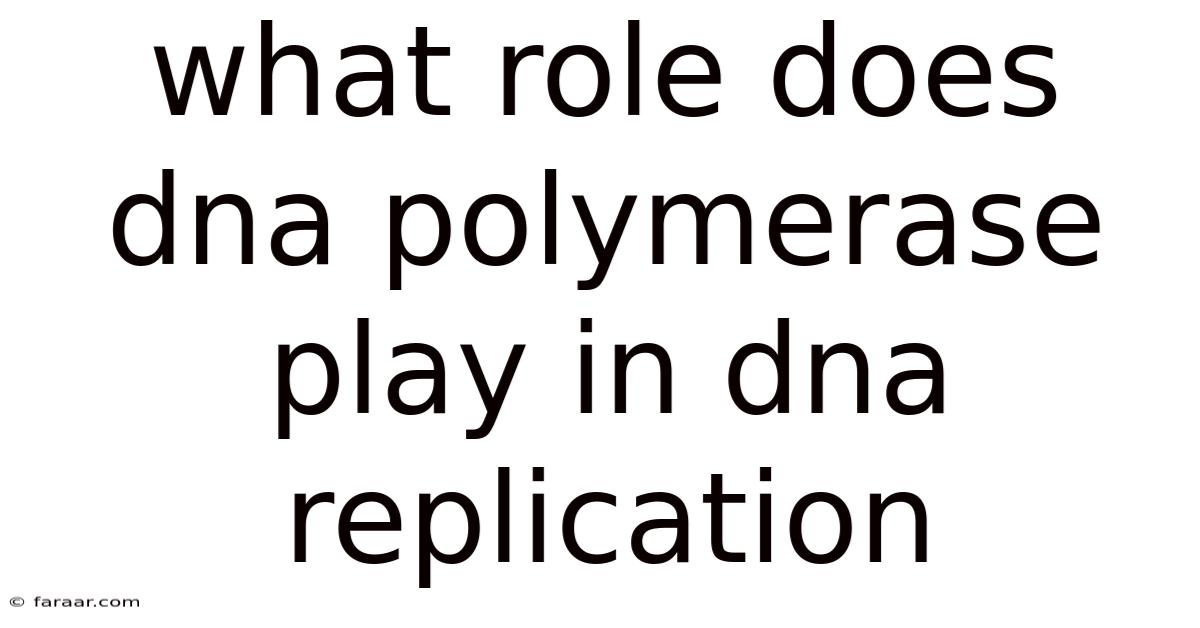 What Role Does Dna Polymerase Play In Dna Replication