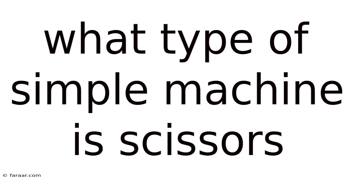 What Type Of Simple Machine Is Scissors