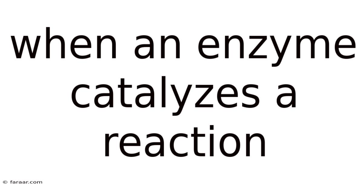 When An Enzyme Catalyzes A Reaction