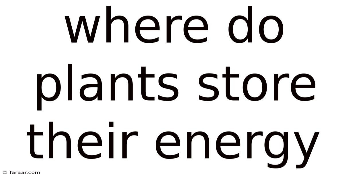Where Do Plants Store Their Energy