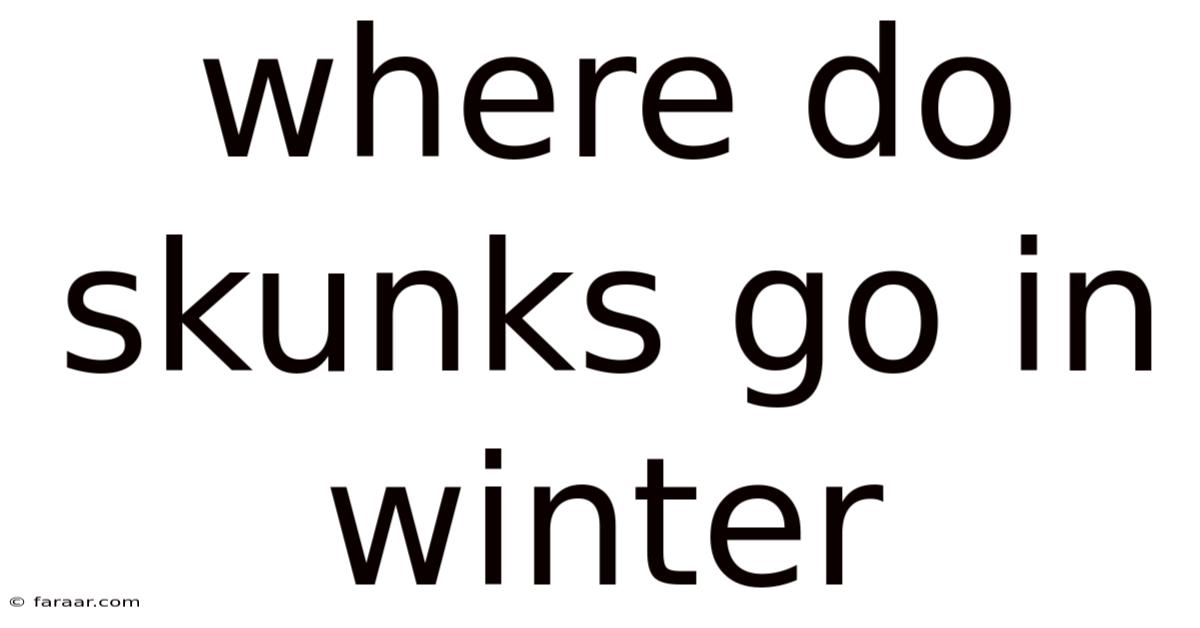 Where Do Skunks Go In Winter