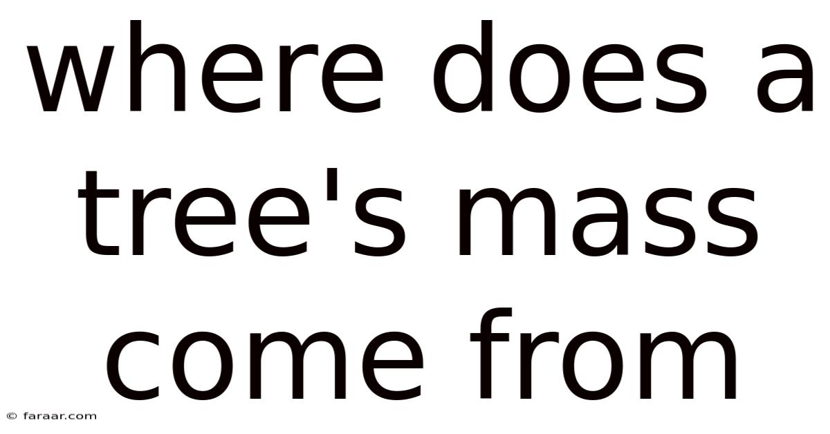 Where Does A Tree's Mass Come From