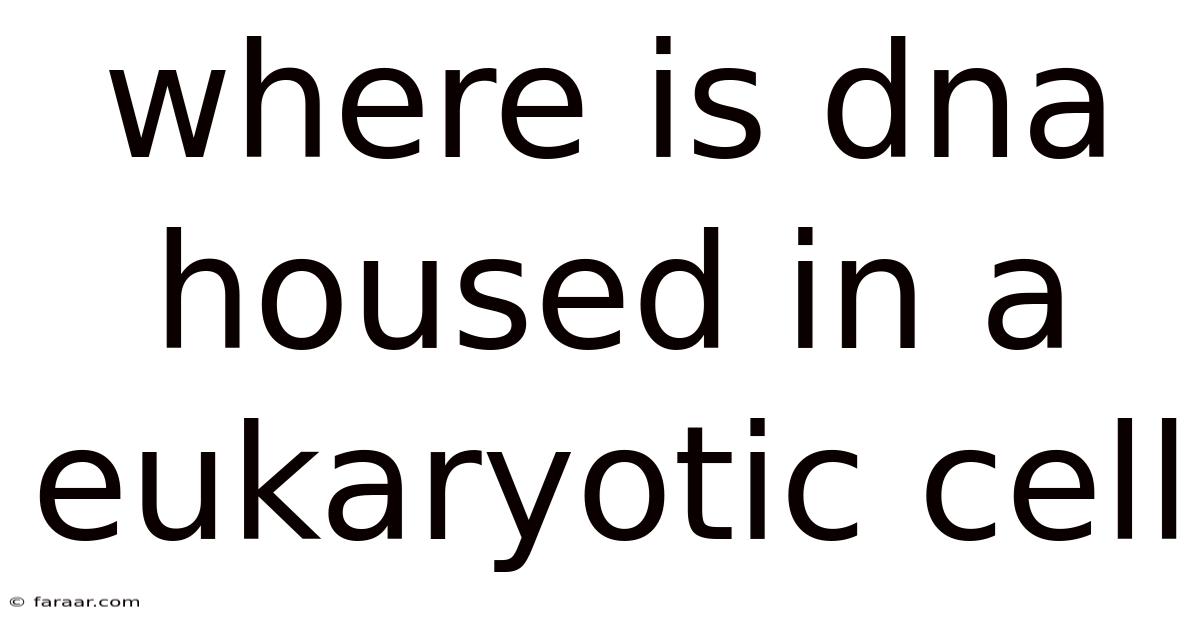 Where Is Dna Housed In A Eukaryotic Cell
