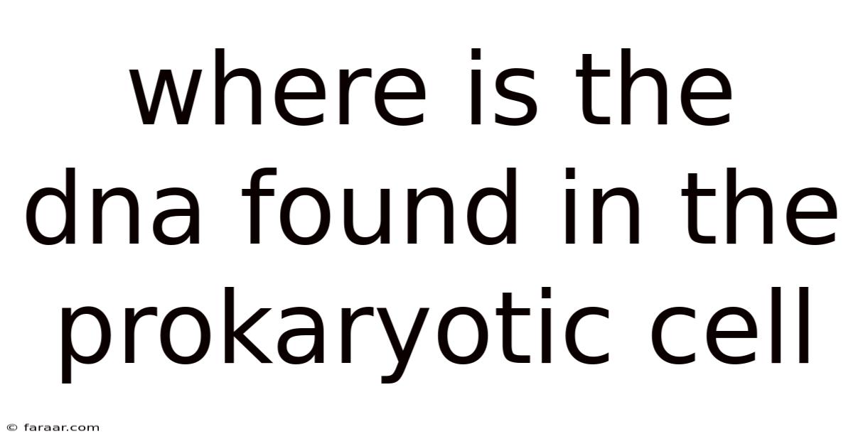 Where Is The Dna Found In The Prokaryotic Cell