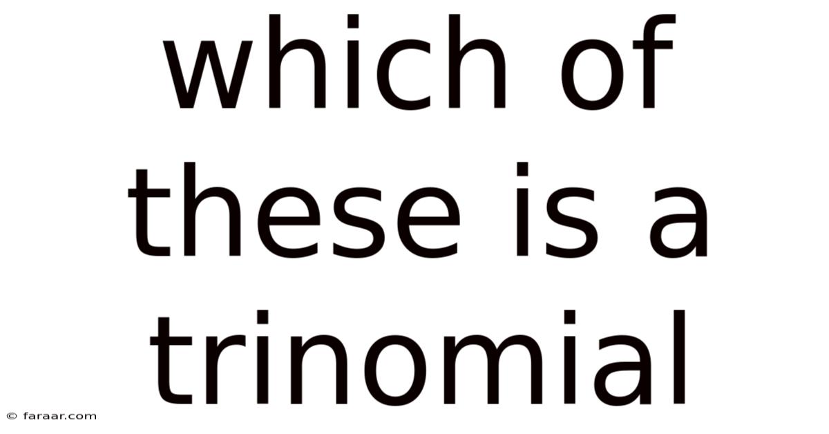 Which Of These Is A Trinomial