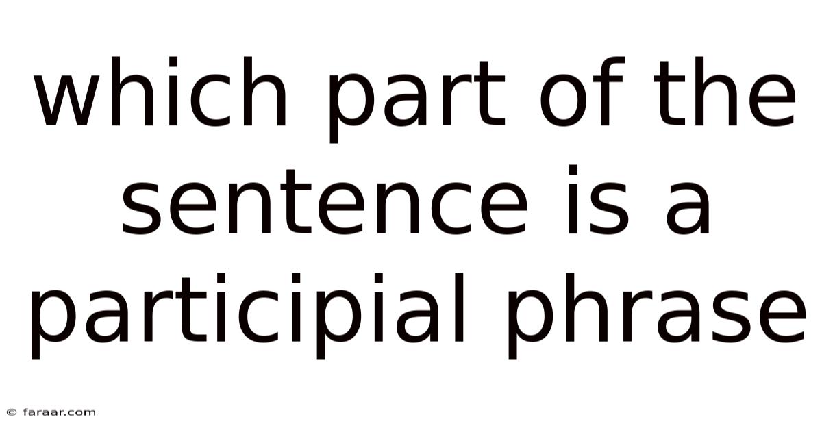 Which Part Of The Sentence Is A Participial Phrase
