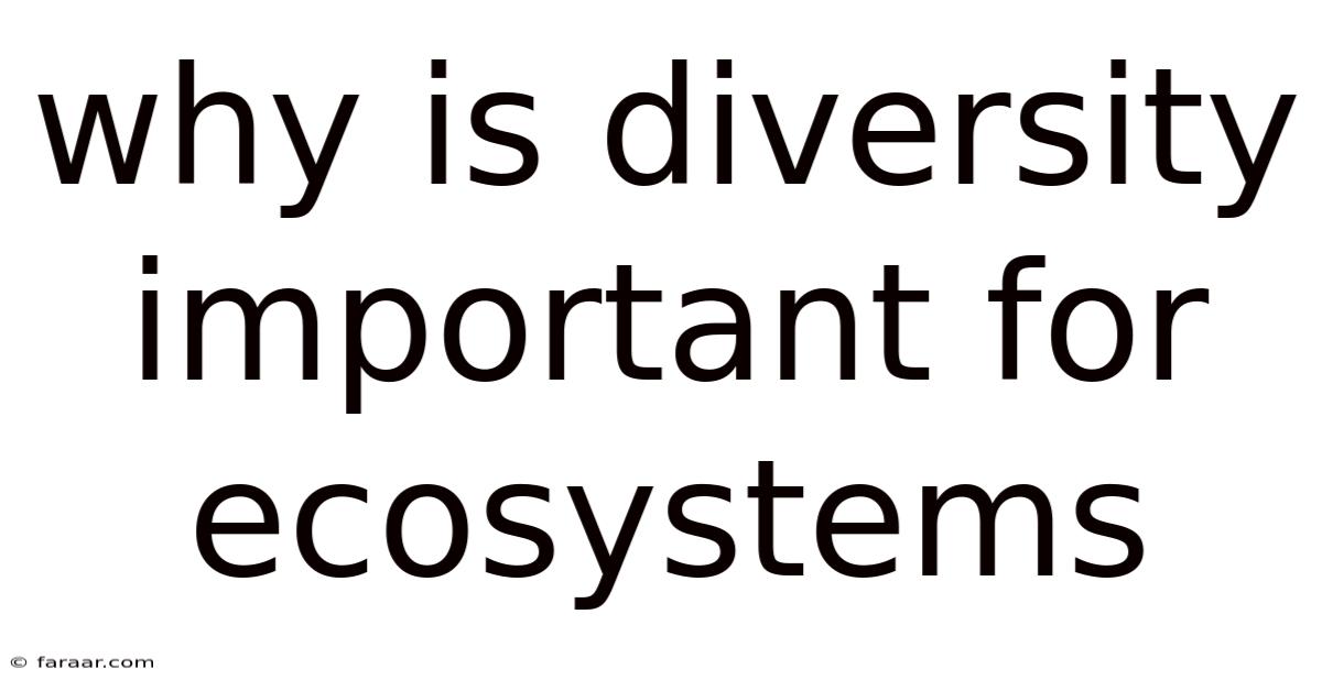 Why Is Diversity Important For Ecosystems