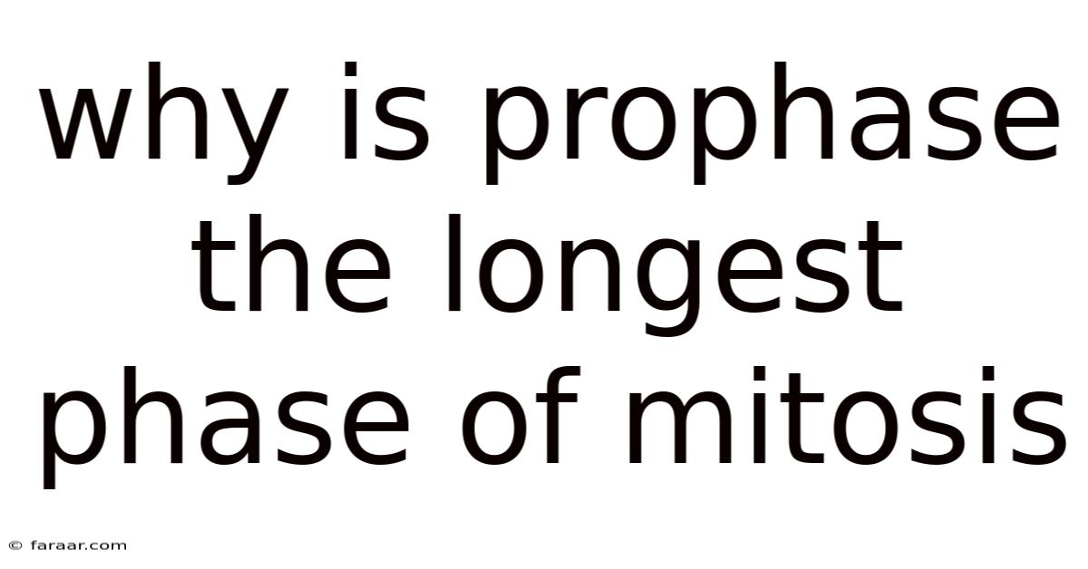 Why Is Prophase The Longest Phase Of Mitosis