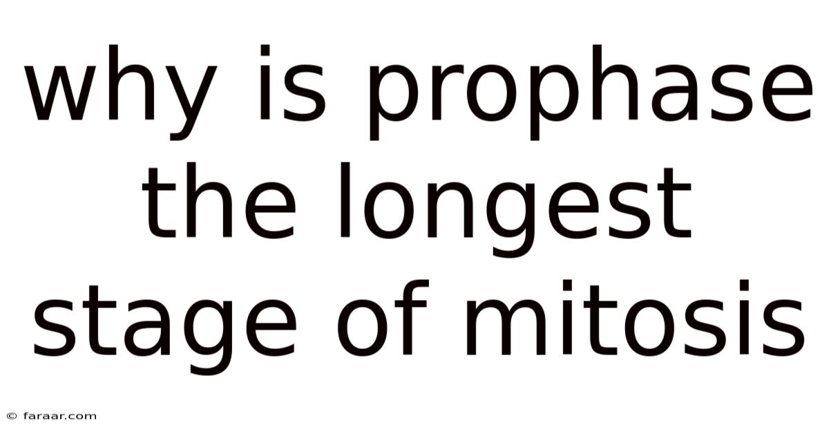 Why Is Prophase The Longest Stage Of Mitosis