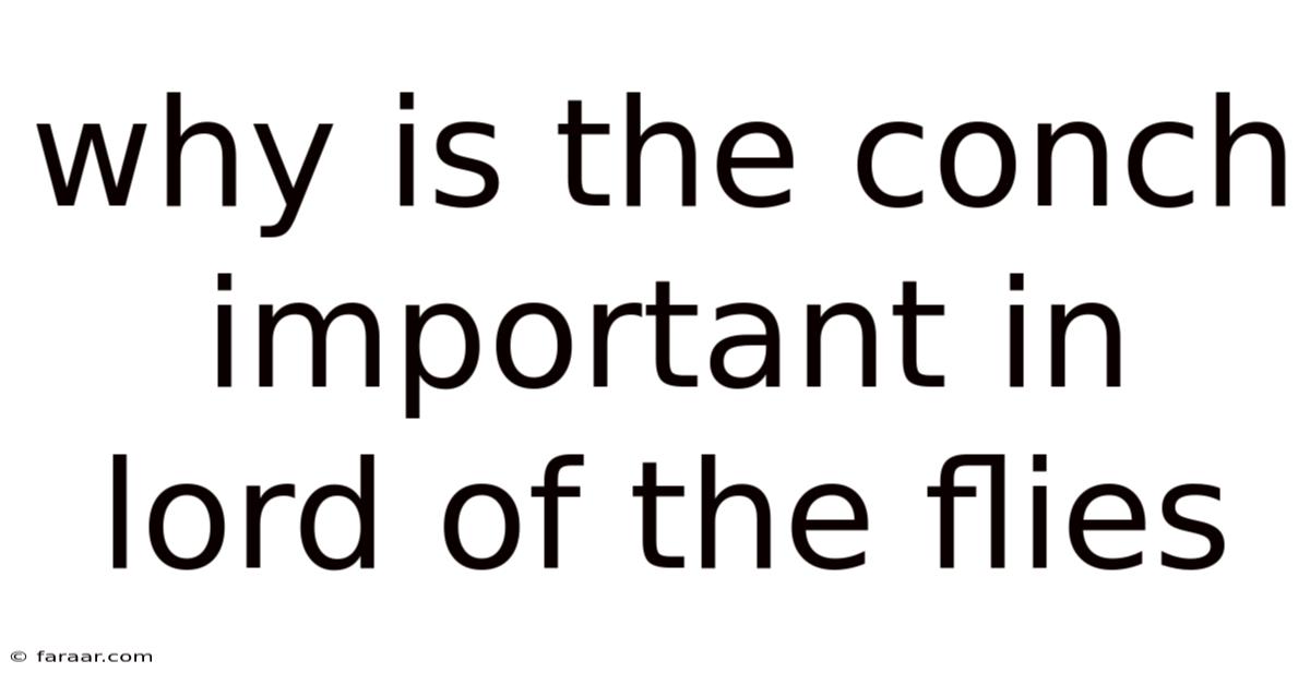 Why Is The Conch Important In Lord Of The Flies