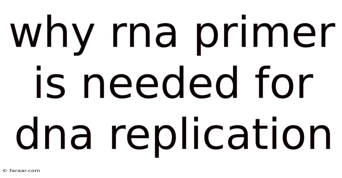 Why Rna Primer Is Needed For Dna Replication