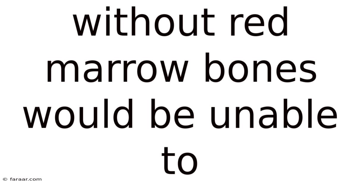 Without Red Marrow Bones Would Be Unable To